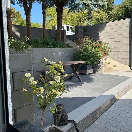 Koblenzer Naturhaus & Кобленц