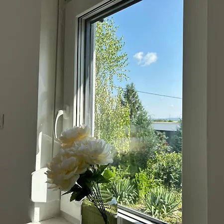 Koblenzer Naturhaus & * Koblenz (Rhineland-Palatinate)